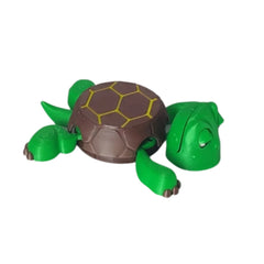 Turtle Coaster