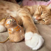 Pet DIY Keychain