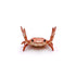 files/Sca037629d2f64e2291fe2452f22dc514W.webp