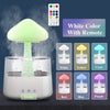 Rain Cloud Humidifier