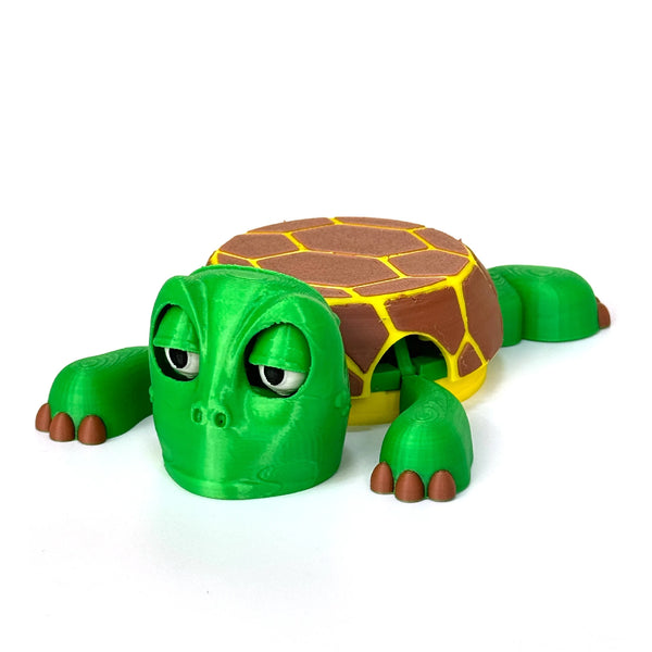 Turtle Coaster