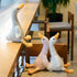 products/H0f9c8c49534e439daaeb90714ecfa7cfC.jpg