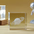 products/Hed23dffc85674f42a67bd728d98d9b78z.jpg
