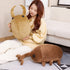 products/S46d35313422842ecaa12ff673900aad9p.jpg