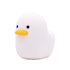 Rechargeable Duck