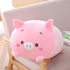 products/Sacb1d511cc9244bca71812e31677ab03P.jpg