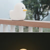 Rechargeable Duck
