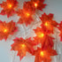 products/product-image-1318651312.jpg