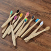 Eco Friendly Bamboo Toothbrush